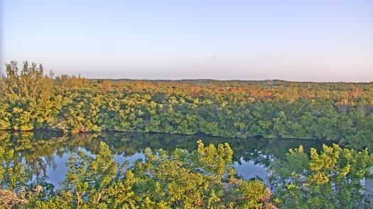 Weather camera view of WTSP-TV.