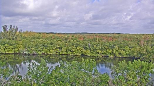 Weather camera view of WTSP-TV.