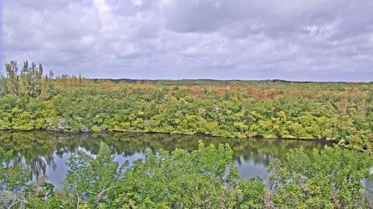 Weather camera view of WTSP-TV.