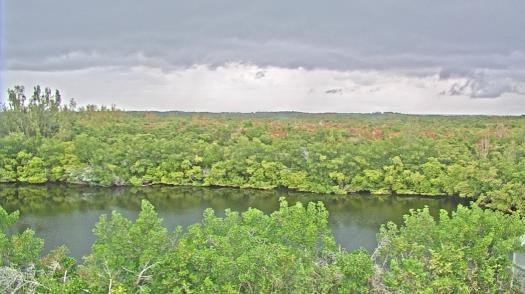 Weather camera view of WTSP-TV.