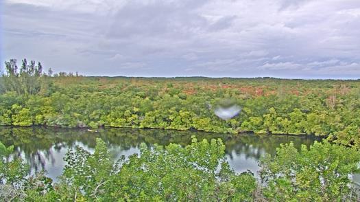 Weather camera view of WTSP-TV.