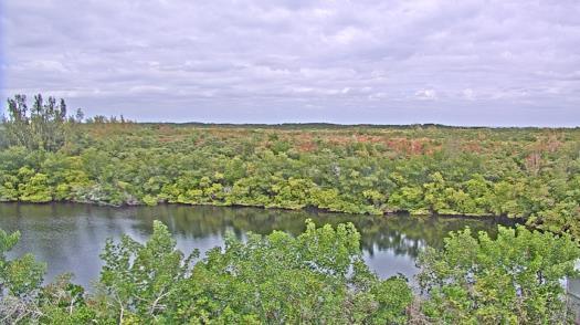Weather camera view of WTSP-TV.