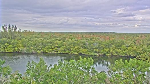 Weather camera view of WTSP-TV.