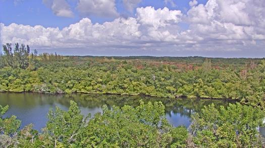 Weather camera view of WTSP-TV.