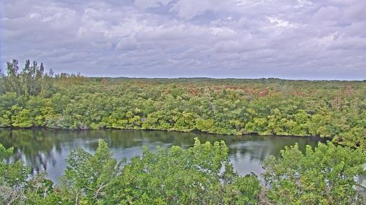 Weather camera view of WTSP-TV.