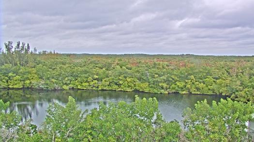 Weather camera view of WTSP-TV.