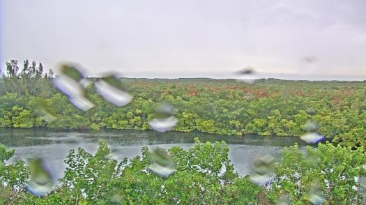 Weather camera view of WTSP-TV.