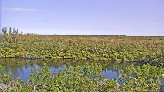 Weather camera view of WTSP-TV.