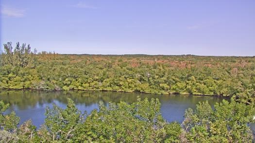 Weather camera view of WTSP-TV.