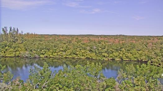 Weather camera view of WTSP-TV.