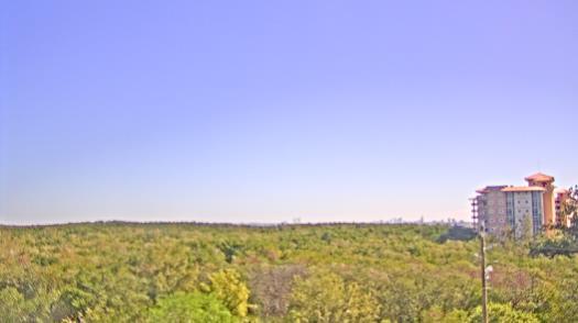 Weather camera view of WTSP-TV.
