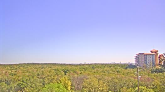 Weather camera view of WTSP-TV.