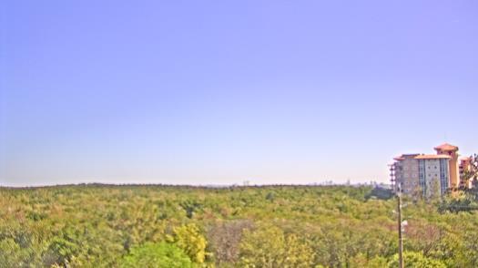 Weather camera view of WTSP-TV.