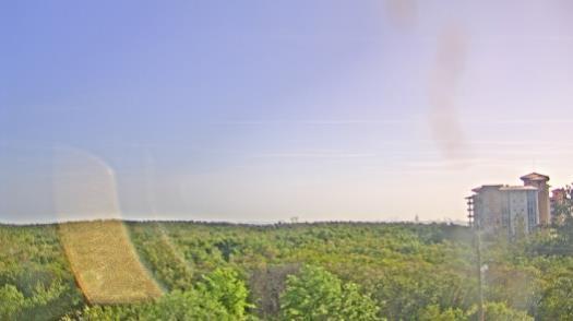 Weather camera view of WTSP-TV.