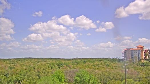 Weather camera view of WTSP-TV.