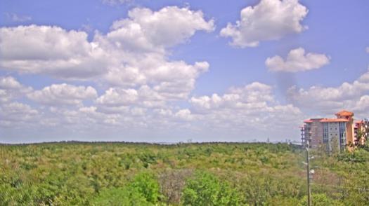 Weather camera view of WTSP-TV.
