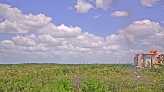 Weather camera view of WTSP-TV.