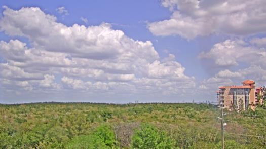 Weather camera view of WTSP-TV.