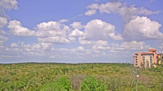 Weather camera view of WTSP-TV.