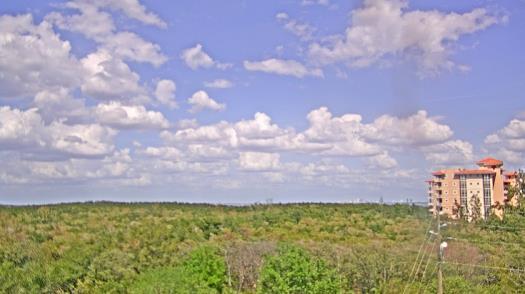 Weather camera view of WTSP-TV.