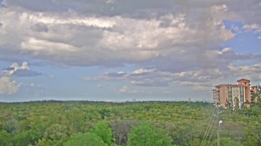 Weather camera view of WTSP-TV.