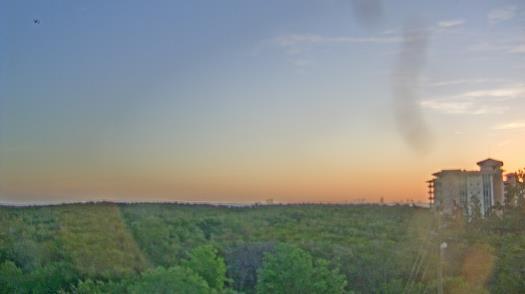 Weather camera view of WTSP-TV.