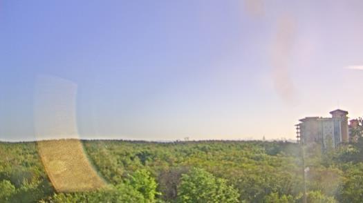 Weather camera view of WTSP-TV.