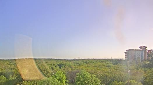 Weather camera view of WTSP-TV.