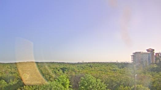 Weather camera view of WTSP-TV.