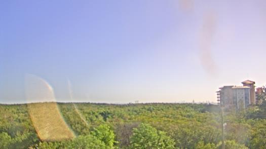 Weather camera view of WTSP-TV.