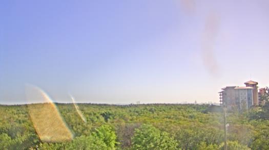 Weather camera view of WTSP-TV.