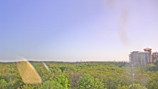 Weather camera view of WTSP-TV.