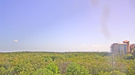 Weather camera view of WTSP-TV.