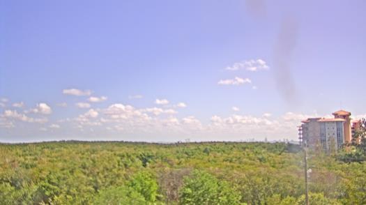 Weather camera view of WTSP-TV.