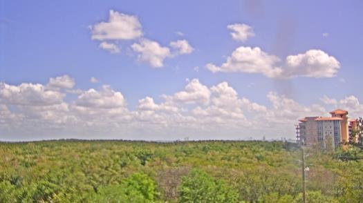 Weather camera view of WTSP-TV.