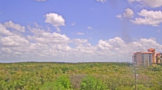 Weather camera view of WTSP-TV.