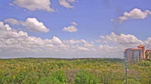 Weather camera view of WTSP-TV.