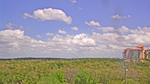 Weather camera view of WTSP-TV.