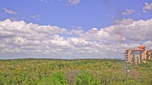 Weather camera view of WTSP-TV.