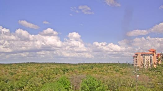 Weather camera view of WTSP-TV.