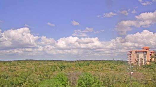 Weather camera view of WTSP-TV.