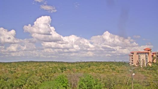 Weather camera view of WTSP-TV.