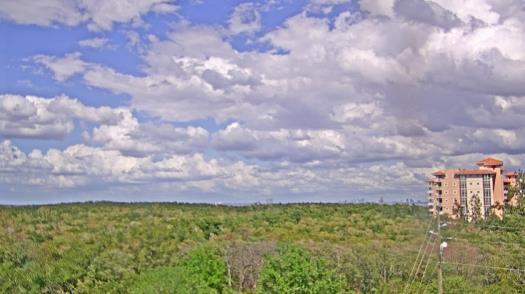 Weather camera view of WTSP-TV.