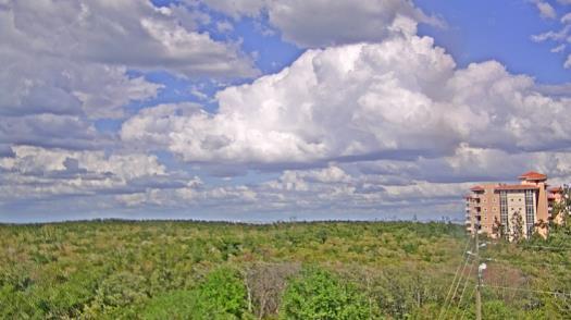 Weather camera view of WTSP-TV.