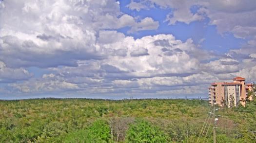 Weather camera view of WTSP-TV.