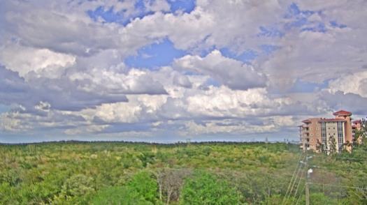 Weather camera view of WTSP-TV.