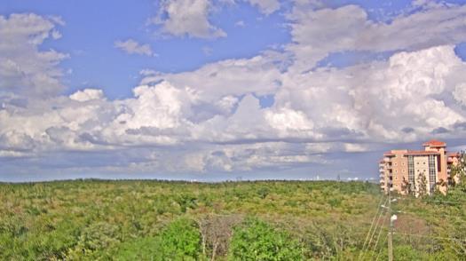 Weather camera view of WTSP-TV.