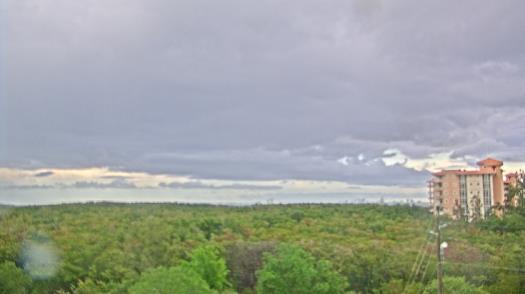 Weather camera view of WTSP-TV.