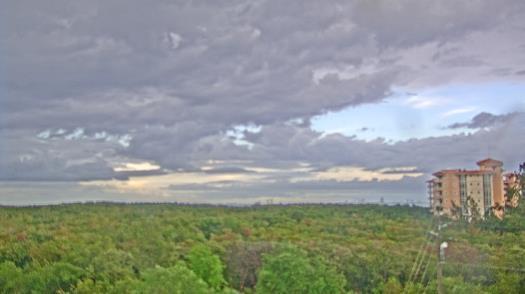 Weather camera view of WTSP-TV.