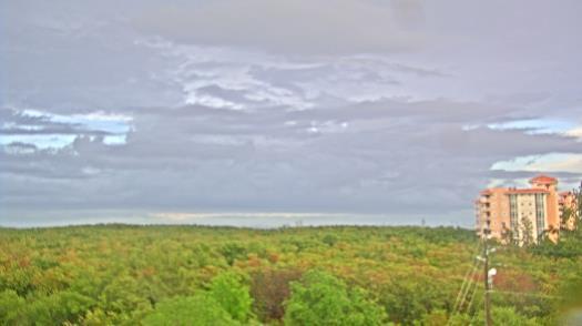 Weather camera view of WTSP-TV.